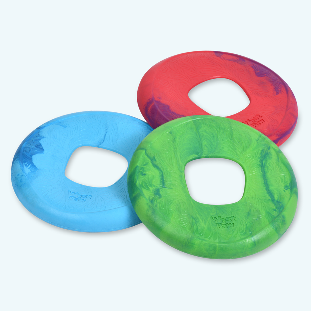 Sailz Disc